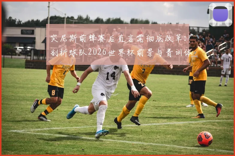 突尼斯前锋赛后直言需彻底改革:剖析球队2026世界杯前景与青训体系现状